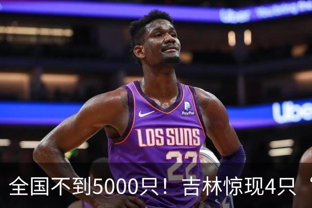 全国不到5000只！吉林惊现4只“四凶之首”，看懵30年老手！