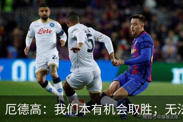 厄德高：我们本有机会取胜；无法赢球时至少要确保拿到平局