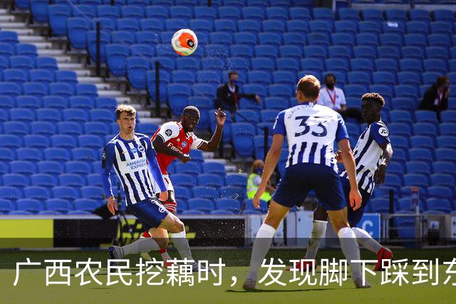 广西农民挖藕时，发现脚下踩到东西，众人合力将其挖出后全都傻眼