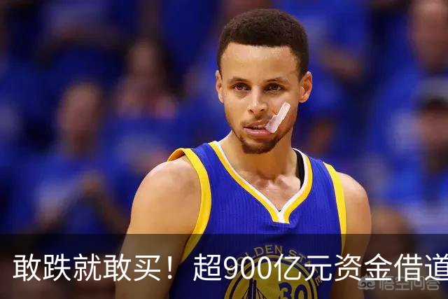 敢跌就敢买！超900亿元资金借道ETF蜂拥进场，除了沪深300，这些主题ETF也被大手笔买入