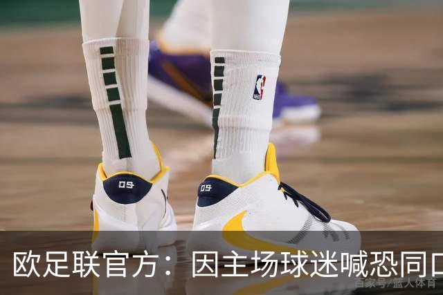 欧足联官方：因主场球迷喊恐同口号，对里昂罚款2万欧